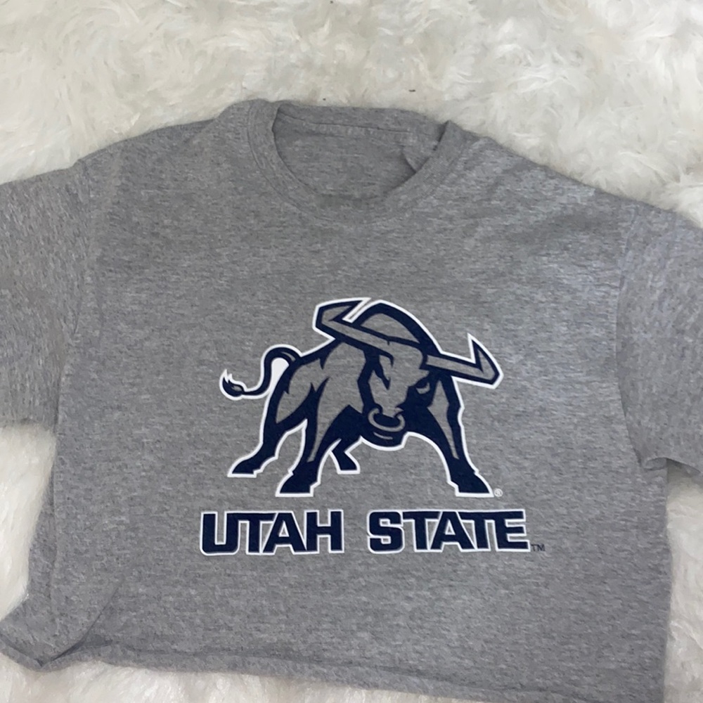 Utah state crop top